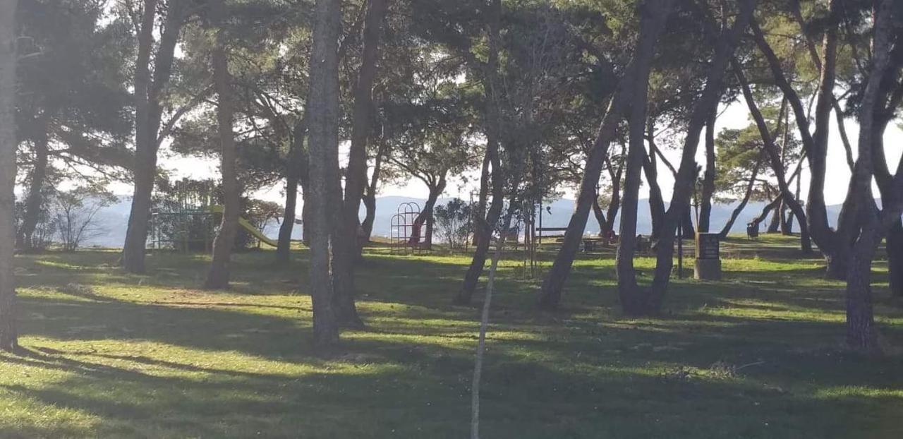 Apartman Petar *