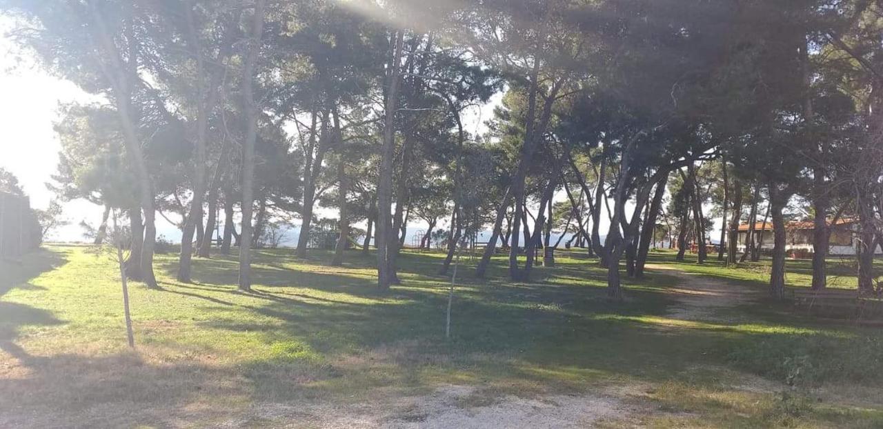 Apartman Petar Zadar